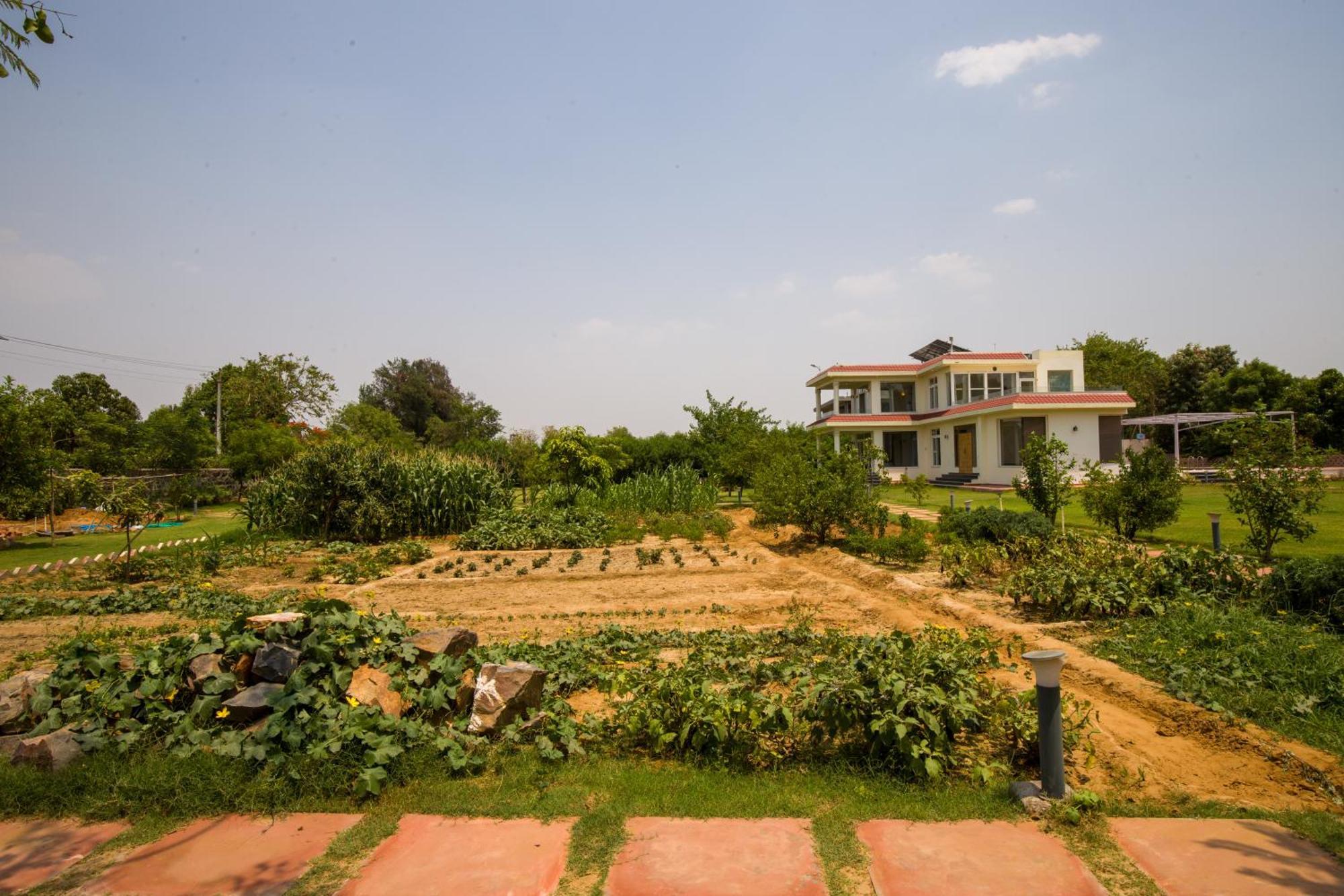 Alaya Stays Raga 2Bhk Farmstay With An Entertainment Lounge Sohna Extérieur photo